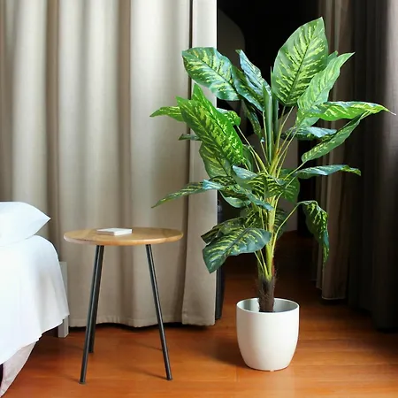 Oroverde & Nel Cuore Di Bed & Breakfast *