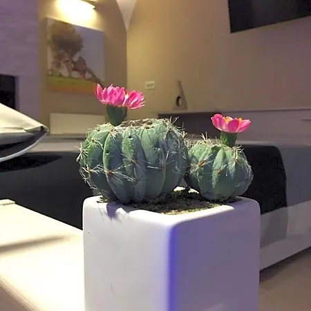 Couette-café Oroverde & Nel Cuore Di 4*