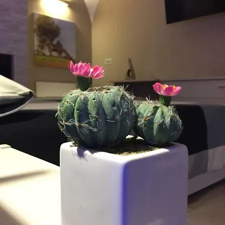 Oroverde & Nel Cuore Di Oda ve Kahvaltı Trani